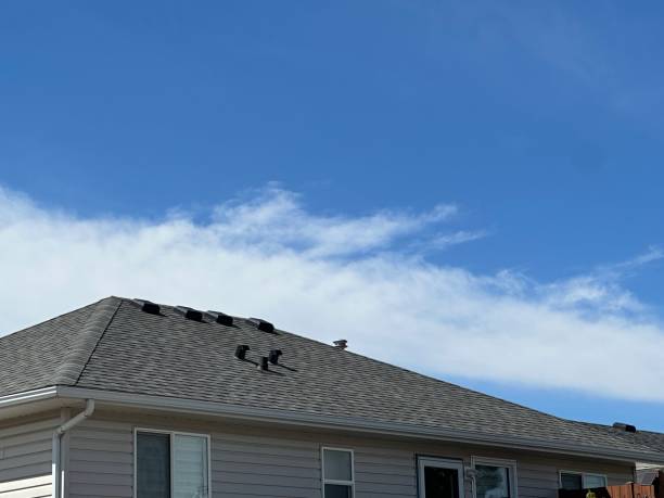 Best Roof Insulation Installation  in Scappoose, OR